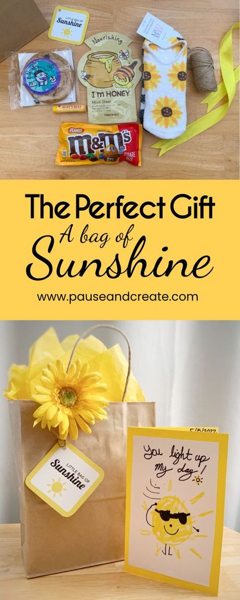 A Bag of Sunshine | By PauseAndCreate #abagofsunshine #perfectgift #mothersday2022 Sunshine Bag Ideas, Bag Of Sunshine, Sunshine Box, Staff Appreciation Gifts, Teachers Appreciation, Honey Mask, Box Of Sunshine, Get Well Soon Gifts, Staff Appreciation