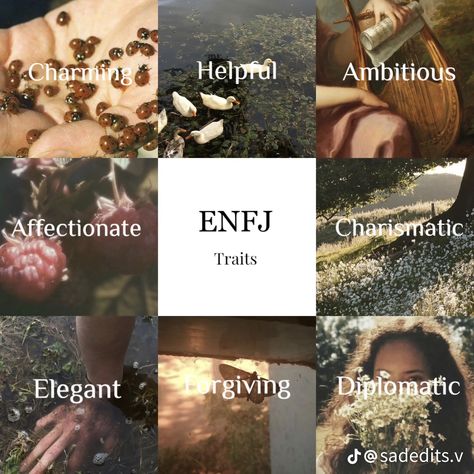 Enfj Aesthetics Core, Enfj Core Aesthetic, Enfj And Enfp, Enfj Quotes, Enfj Personality Aesthetic, Enfj Aesthetics, Enfj Characters, Enfj Core, Personalidad Infj