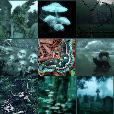 Demon Slayer Moodboard, Fantasy Moodboard Aesthetic, Cryptidcore Moodboard, Bat Moodboard, Creepy Moodboard, Moth Moodboard, Shadow Moodboard, Alt Moodboard, Snake Moodboard