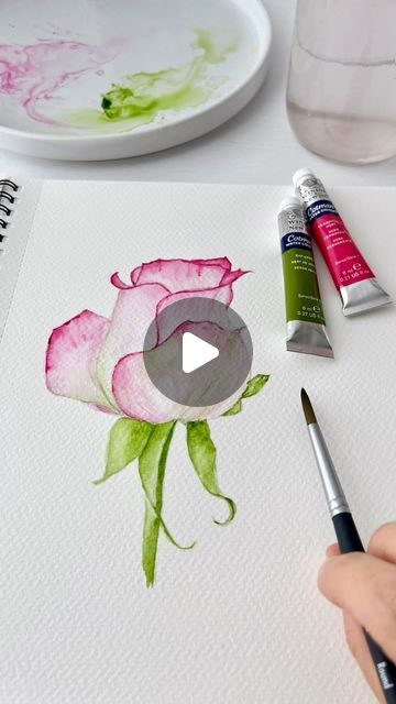 Gabrielle Angela on Instagram: "A simple rose to try the two new watercolors tubes I’ve showed you in my stories earlier this week 🌹😊   @winsorandnewton pigments never disappoint! 🤩  Here I’m using permanent rose and sap green, the brush is from @princetonbrush Aqua Elite and the watercolor paper is also from @winsorandnewton.  Happy painting! ✌🏻👩🏻‍🎨" Rose Bush Watercolor, How To Paint Roses Easy Watercolor, Watercolor Pansies Tutorial, Watercolor Roses Tutorial, How To Paint A Rose, Water Colour Painting Ideas Inspiration, Watercolor Rose Tutorial, Water Coloring Painting Ideas, Simple Watercolour Painting