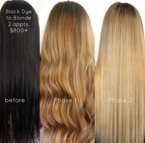 Black Hair To Blonde Before And After, Black Hair To Blonde Process, Black Box Dye To Blonde, Black Box Dye To Blonde Process, Black Box Dye Transformation, Blond To Black Hair Transformation, Dark Brown To Blonde Transformation, Black To Blonde, Box Hair Dye