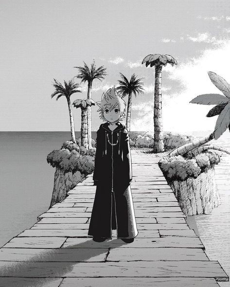 Kingdom Hearts Black And White, Kingdom Hearts Manga Panels, Organization 13 Kingdom Hearts, Kh Wallpaper, Kingdom Hearts Manga, Kingdom Hearts Pfp, Roxas Kingdom Hearts, Kingdom Hearts 2, Kingdom Hearts Funny