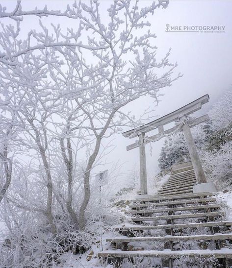 Photos Of Japan, Japan Picture, Ehime, Japan Guide, Trip To Japan, Boho Deco, Aesthetic Japan, Historical Landmarks, Off The Beaten Path