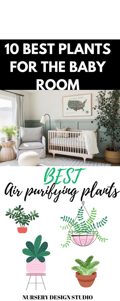 10 best plants for baby room (1) Plants For Baby Nursery, Garden Nursery Theme, Best Air Purifying Plants, Planting For Kids, Newborn Room, Air Purifying House Plants, Home Air Purifier, Small Nurseries, Green Nursery