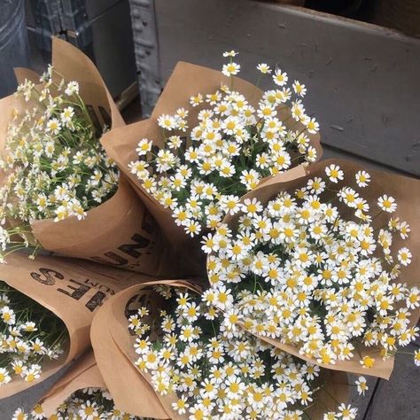 Boquette Flowers, Nothing But Flowers, Flower Therapy, Beautiful Bouquet Of Flowers, Spring Aesthetic, Spring Vibes, Beautiful Bouquet, Love Flowers, My Flower