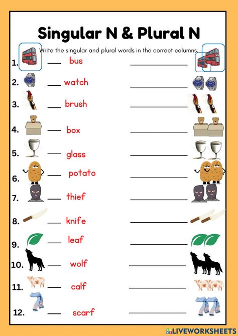 Singular And Plural Words, Plurals Worksheets, Plural Nouns Worksheet, Plural Words, Punctuation Worksheets, First Grade Reading Comprehension, Unscramble Words, Singular And Plural Nouns, Possessive Nouns