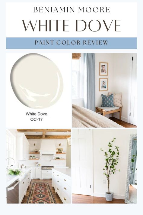 Looking for the perfect white paint for your walls or kitchen cabinets? Benjamin Moore White Dove is a classic, timeless choice! This creamy yet neutral white paint color is incredibly versatile, making it a popular pick for everything from home exteriors to cabinets, walls, and trim. Discover why White Dove is beloved for its ability to complement various styles and spaces, adding warmth and elegance wherever it’s used. White Dove Walls With White Trim, Trim Color For White Dove Walls, Cabinet Color With White Dove Walls, White Dove Kitchen Walls, White Dove Walls And Trim, Benjamin Moore White Dove Walls, White Dove Color Palette, Kitchen Cabinets Benjamin Moore, White Dove Kitchen Cabinets