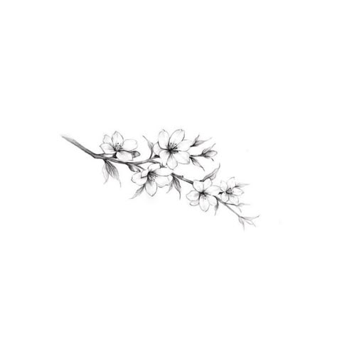 Cherry Blossom Tattoo Black And White, Cute Tattoos On Wrist, Sakura Tattoo, Flower Tattoo Ideas, Tattoos For Women Flowers, Small Flower Tattoos, Tattoo Signs, Cute Tiny Tattoos, Cherry Blossom Tattoo