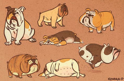 kendra-p: GOOD MORNING ITS BULLDOG TIME P.s. simple quest for everyone) Why did Bill die? Bulldog Drawing, Baggy Bulldogs, Bulldog Tattoo, Bulldog Artwork, Bulldog Pics, Puppy Drawing, Bulldog Art, 강아지 그림, Dog Illustration