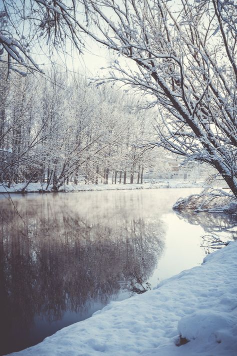 Free Photo, Cold Day, Water, Christmas, Nature