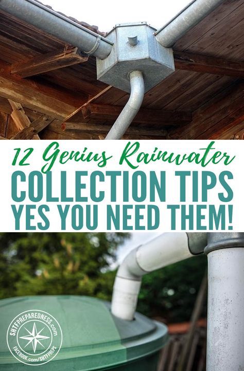 Rain Water Collection Diy, Water Collection System, Water From Air, Rainwater Collection, Pub Set, Rainwater Harvesting, Water Collection, Rain Barrel, Rain Water Collection