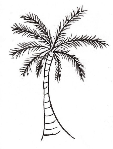 palm-tree004-2 Palm Tree Outline, Tree Trunk Drawing, Palm Tree Sketch, Tree Drawing Simple, Palm Tree Drawing, Christmas Palm Tree, Tree Outline, Tree Doodle, Palm Tree Tattoo