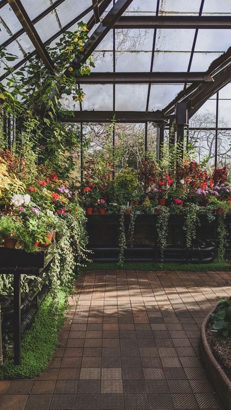 Glasgow Botanic Gardens, Glasgow, Scotland, UK Botanical Gardens Aesthetic, Dark Greenhouse Aesthetic, Vintage Greenhouse Aesthetic, Greenhouse Aesthetic Wallpaper, Botanic Garden Aesthetic, Jardim Aesthetic, Glasgow Aesthetic, Botanist Aesthetic, Botanical Garden Aesthetic