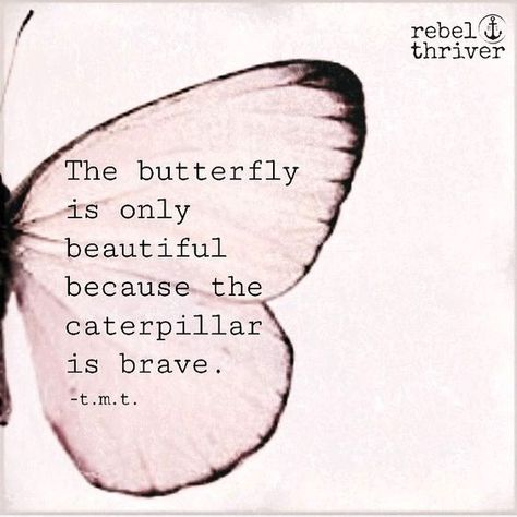 Meaningful Sayings, Imagination Quotes, Butterfly Quotes, Life Quotes Love, Blog Ideas, Butterfly Wallpaper, The Butterfly, Quotable Quotes, A Butterfly