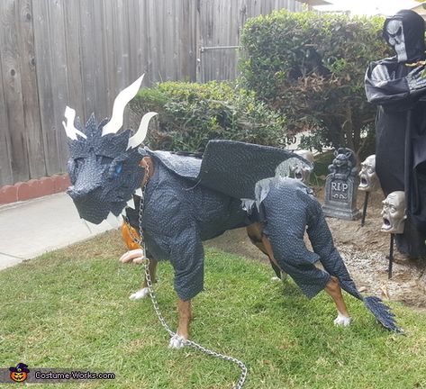 Dog Dragon Costume, Dog Dragon, Dragon Dog, Easy Diy Costumes, Costume Works, Dragon Costume, Game Of Thrones Fans, Scale Fabric, Dog Halloween Costumes