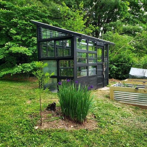 Black Greenhouse Diy, Black Greenhouse Ideas, Small Black Greenhouse, Used Window Greenhouse, Greenhouse Black, Windows Greenhouse, Window Greenhouse Diy, Black Greenhouse, Window Greenhouse