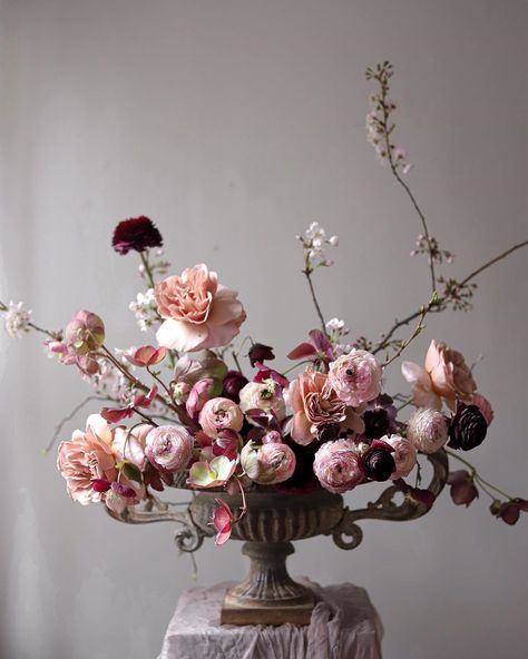 Frida Kim on Instagram: “Offering some pink spring colours in rainy grey London .. . Beautiful Hellebores @nettlewoodflowers 🙏 . . . . . . . . . . #nofloralfoam…” Flower Arrangement Designs, Blush Wedding Flowers, Wedding Ceremony Backdrop, Modern Flower Arrangements, Vase Arrangements, Cat Air, Flower Inspiration, Flowers Arrangements, Ceremony Backdrop