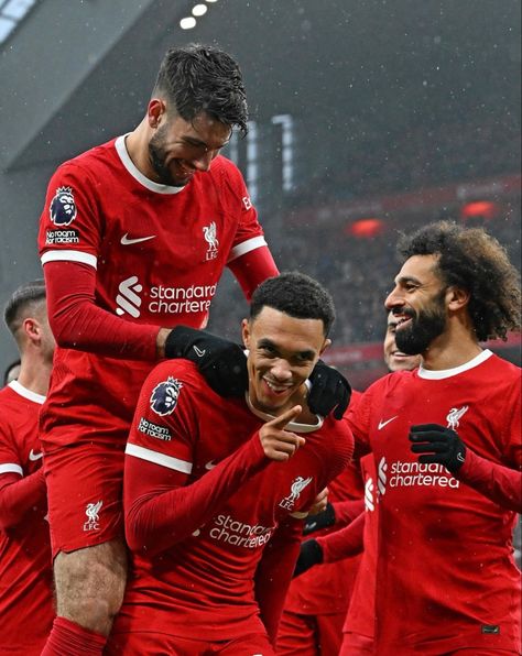 Liverpool Football Team, Lfc Wallpaper, Liverpool Girls, Liverpool Fc Logo, Liverpool Fc Team, Dominik Szoboszlai, Liverpool Logo, Trent Alexander Arnold, Liverpool Team