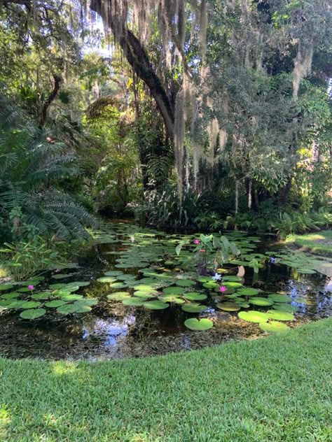 Garden Aesthetic Backyards, Secret Garden Photography, Lily Pond Garden, Ancient Garden Aesthetic, Arabellacore Aesthetic, Zerocore Aesthetic, Lily Pad Garden, Aesthetic Garden Pictures, Secret Garden Vibes