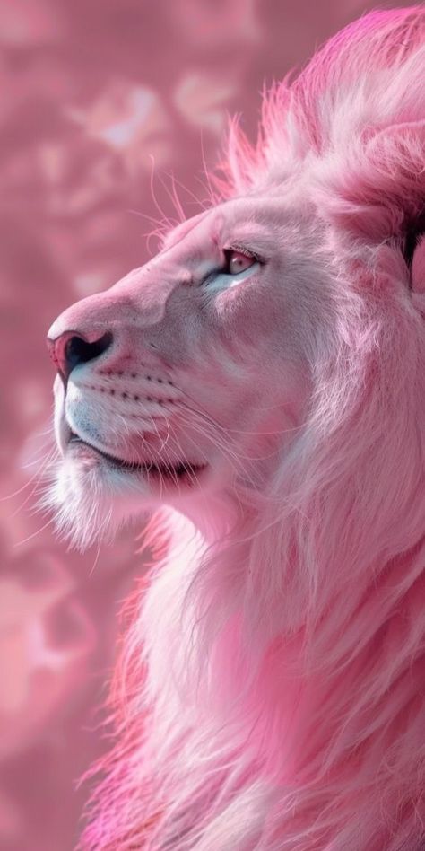 White Lion Images, Lion Background, Pink Wallpaper Quotes, Lion Photography, Pretty Wallpapers Tumblr, Lion Wallpaper, Lion Painting, Love Wallpaper Backgrounds, Lion Images