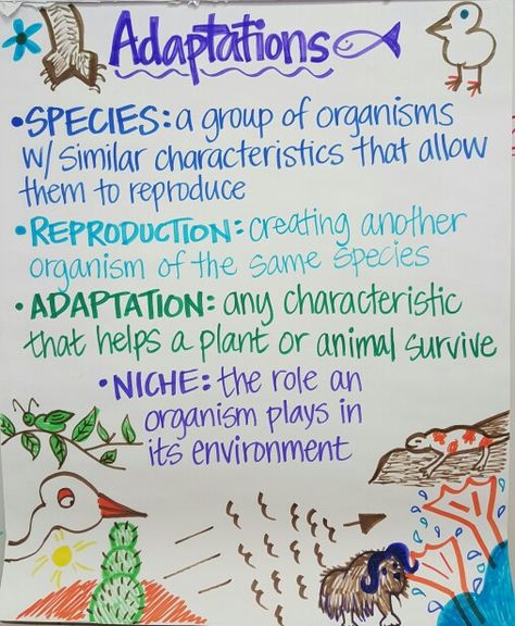 Adaptations Anchor Chart Adaptation Anchor Chart, Animal Adaptations Anchor Chart, Adaptations Anchor Chart, Waves Science, Animal Adaptation, Teaching Middle School Science, Science Chart, Assignment Ideas, Elementary Classroom Themes