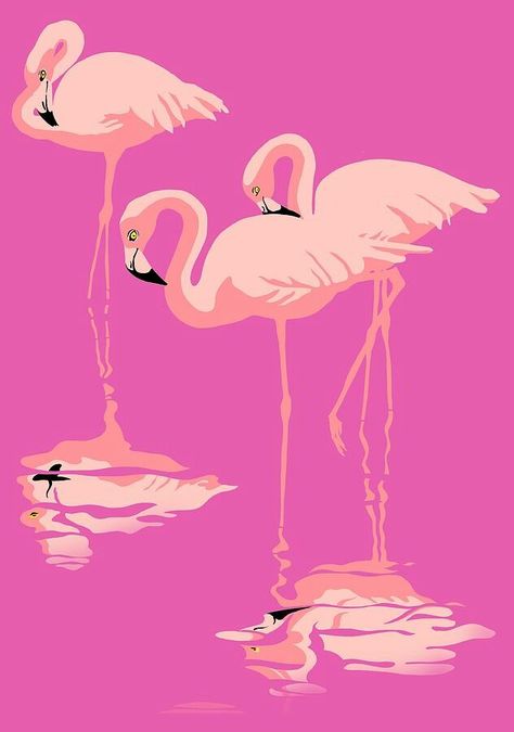 Flamingo🌺 Flamingo Paintings, Flamingo Stuff, Flamingo Photo, Cheetah Print Wallpaper, Pink Flamingos Birds, Flamingo Wall Art, Flamingo Wallpaper, Flamingo Painting, Be More Creative