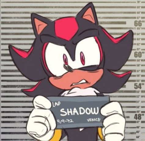 Sonic Pfp, Taylor Swift Tickets, Sonic Pfps, Sonic Y Shadow, Shadow And Sonic, Sonic X Shadow, Sonic Tails, Sonic Prime, Shadow Sonic