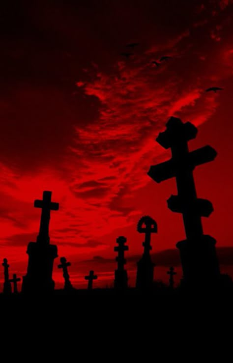 Red | Rosso | Rouge | Rojo | Rød | 赤 | Vermelho | Color | Colour | Texture | Form | Pattern | Style | Red Aesthetics, Vampire Aesthetic, Aesthetic Red, Red Sky, Red Wallpaper, Red Aesthetic, Cemetery, Dark Aesthetic, Red And Black