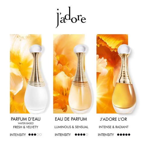 Body Scents, Perfume Smells, Dior Jadore, Jasmine Perfume, Dior Fragrance, Centifolia Rose, J Adore Dior, Alcohol Free Fragrance, Fragrances Perfume Woman