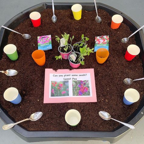 inspiringplayearlyears on Instagram: “🌸 PLANTING TUFF TRAY🌼 All of us at Jolly Juniors are keen on being environmentally conscious, as such we did not want to waste the soil we…” Planting Activities For Kids, Plant Tuff Tray, Spring Tuff Tray Ideas Preschool, Growing Tuff Tray Ideas, Spring Tough Tray Ideas, Gardening Tuff Tray Ideas, Flowers Tuff Tray, Flower Tuff Tray, Easter Tuff Tray