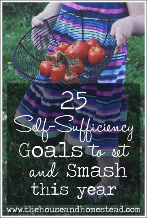 25 Self-Sufficiency Goals to Set and Smash This Year | The House & Homestead Gardening Homeschool, Homestead Binder, Apartment Homesteading, Homestead Family, Backyard Homesteading, Living Cheap, Homestead Skills, Goals To Set, Amish Living