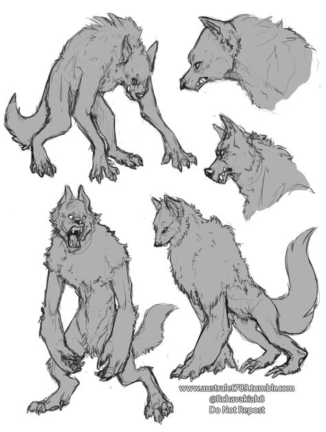 Werewolf Anatomy Design Reference, Wolf Person Drawing, Werewolf Drawing Refrences, Pose Reference Werewolf, Werewolf Drawing Poses, Werewolf Body Reference, Werewolf Reference Pose, Wolf Fur Pattern, Werewolf Side View