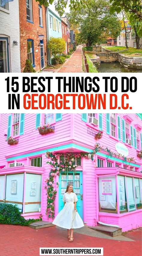 15 Best Things To Do In Georgetown D.C. Georgetown Photo Ideas, Washington Dc Murals, Bachelorette Washington Dc, What To Do In Georgetown Dc, Moving To Washington Dc, Best Things To Do In Washington Dc, Washington Dc Chinatown, Dc Things To Do, Washington Dc Hidden Gems