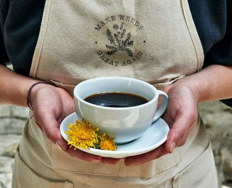 Dandelion Coffee, Roasted Dandelion Root, Coffee Winter, Herbal Coffee, Dandelion Root, Sustainable Farming, Coffee Tasting, Low Tech, Coffee Drinkers