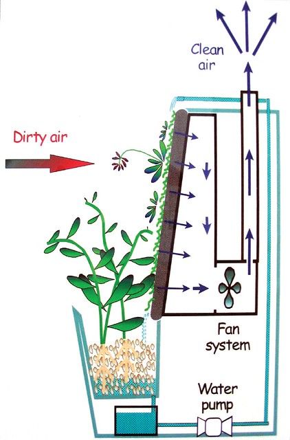 Biowall Diagram | the robertson building | Flickr Vertical Growing, Vertikal Garden, Aquaponics Greenhouse, Backyard Aquaponics, Taman Air, Aquaponics Diy, Dirty Air, Aquaponics System, Hydroponic Gardening