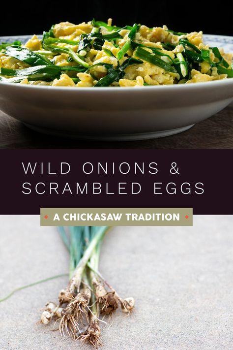 Grape Dumplings, Scrambled Eggs Healthy, Cooked Onions, Indian Fry Bread, Wild Onion, Chickasaw Nation, Busy Road, Wild Onions, Spring Dishes