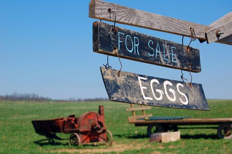 https://flic.kr/p/7W6Lgs | Amish Eggs for sale | Sign for fresh eggs at an Amish Farm - Kidron, OH Eggs For Sale Sign, Rabbits For Sale, Amish Farm, Eggs For Sale, Painted Bunting, Sale Sign, Farm Fresh Eggs, Fresh Eggs, For Sale Sign