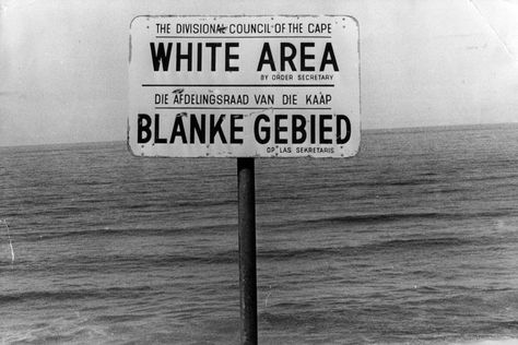 What Signs Were Used to Enforce Segregation During Apartheid? English Projects, Students Day, Ap World History, Africa Do Sul, Nelson Mandela, African History, Southern Africa, Social Interaction, Bbc News