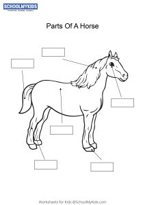 Missing Numbers Counting Forward 1 to 25 Worksheets for Kindergarten,First,Second Grade - Math Worksheets | SchoolMyKids.com Parts Of Horse Worksheet, Parts Of A Horse Printable, Pony Club Worksheets, Horse Worksheets, Parts Of A Horse, Printable Worksheets For Kindergarten, Counting Backwards, Saddle Club, Worksheet For Kindergarten