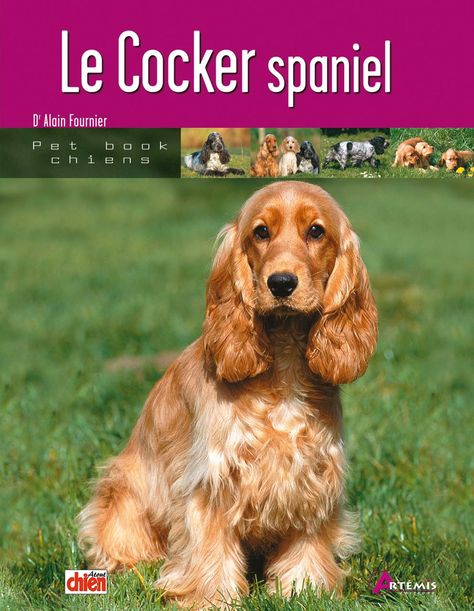 Cocker Spaniel Anglais, English Cocker Spaniel, Animal Books, Cocker Spaniel, Dressage, Spaniel, Golden Retriever, Puppies, Education