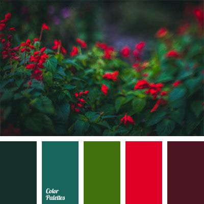 The contrasting combination of red and green of this color palette will suit the girls of the autumn color type. These colors will emphasize the beautiful. Flat Bedroom, In Color Balance, Color Palette Ideas, Red Colour Palette, Palette Ideas, Green Colour Palette, Fall Color Palette, Color Palate, Rich Color Palette