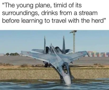 Plane Memes, Wojskowy Humor, Jet Fighter Pilot, Aviation Humor, Army Memes, Military Memes, Army Humor, Monday Memes, Military Humor