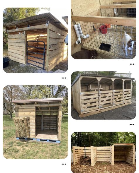 Sheep Paddock Ideas, Small Goat Pen Ideas, Pig Stalls Ideas, Outdoor Animal Shelter, Goat Diy Projects, Goat Pen With Pallets, Small Goat Barn Ideas, Farm Animal Shelter, Sheep House Ideas