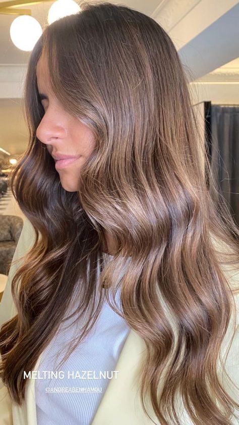 Honey Brown Ash Hair, Brown Hair Colors Neutral, Brown Hair Soft Balayage, Caramel Ash Brown Hair, Soft Brown Hair Color Natural, Warm Mushroom Brown Hair, Light Rich Brown Hair, Light Brown Hair Dimension, Hazelnut Balayage Brunettes