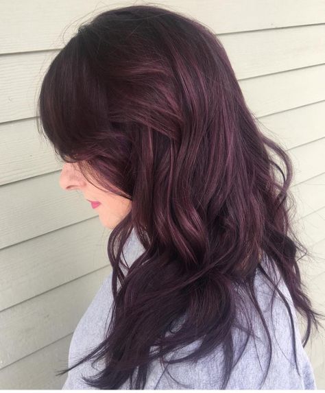 25 Blackberry Hair Color Ideas : Blackberry Balayage Long Hair Blackberry Balayage, Blueberry Hair Color, Blackberry Hair Color, Blueberry Hair, Blackberry Hair, Blackberry Hair Colour, Dark Purple Hair Color, Winter Hair Color Trends, Balayage Long Hair