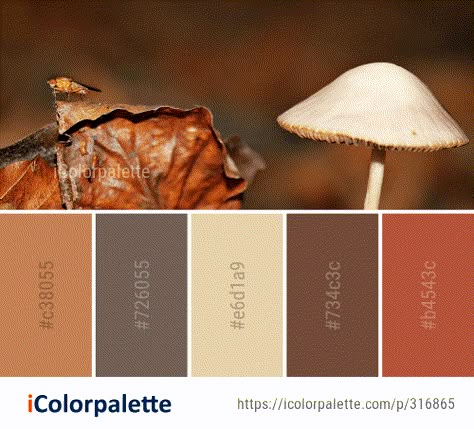 Mushroom Palette Color Schemes, Mushroom Pallete, Mushroom Color Pallete, Color Palette Mushroom, Fungi Color Palette, Mushroom Colour Palette, Mushroom Color Palette, Mushroom Palette, Coloring Combinations