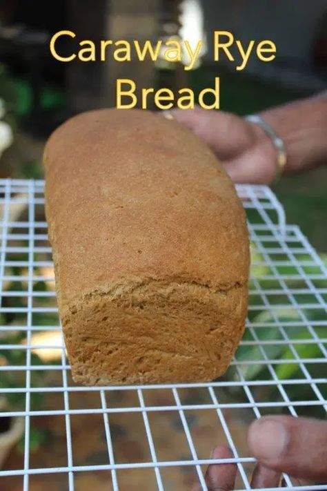 Rye Bread Recipes Homemade, Easy Rye Bread Recipe, Recipe For Rye Bread, Easy Rye Bread, Russian Rye Bread Recipe, Rye Bread Recipe, Dark Rye Bread Recipe Machine, Light Rye Bread Recipe, Rye Plant