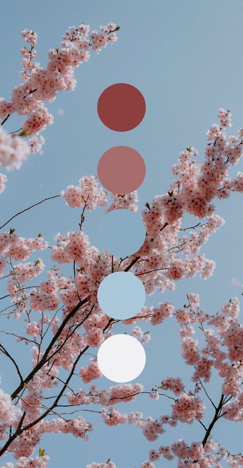 Color Mood Palette, Mandala Color Palette, Three Color Palette, Website Palette, Color Pallete Aesthetic, Minimalist Colour Palette, Cozy Color Palette, Colors Moodboard, Elegant Color Schemes