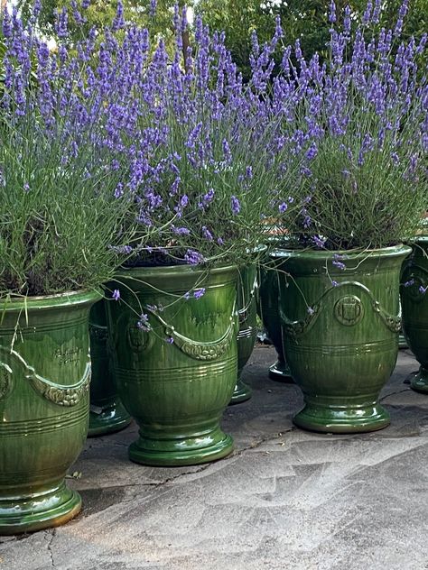 Cross Planter, Anduze Pot, Italian Terra Cotta Pots, Patio Renovation, Square Planter Boxes, Mood 2024, French Garden Design, Commercial Landscape Design, French Gardens