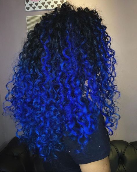 Blue Balayage Curly Hair, Royal Blue Curly Hair, Blue Money Piece Curly Hair, Curly Hair Color Ideas Blue, Blue Highlights In Black Hair Curls, Dyed Curly Hair Ideas Colour Blue, Dyed Curly Hair Blue, Black And Blue Curly Hair, Dark Blue Natural Hair